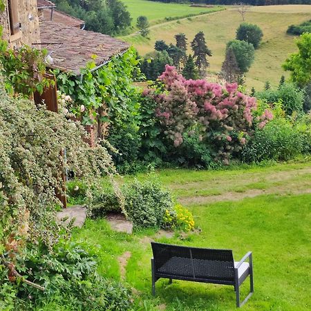 Eco-Gite Cottage Panoramique, Terrasses, Baby Foot, 150 M2 Renove Et Agrandi En 2024, Activites Proposees Champagnac-le-Vieux ภายนอก รูปภาพ