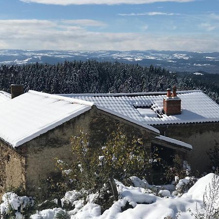 Eco-Gite Cottage Panoramique, Terrasses, Baby Foot, 150 M2 Renove Et Agrandi En 2024, Activites Proposees Champagnac-le-Vieux ภายนอก รูปภาพ