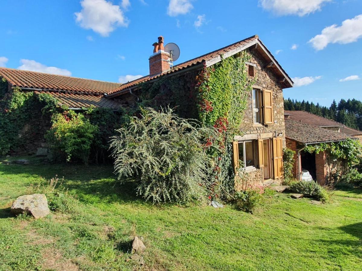 Eco-Gite Cottage Panoramique, Terrasses, Baby Foot, 150 M2 Renove Et Agrandi En 2024, Activites Proposees Champagnac-le-Vieux ภายนอก รูปภาพ